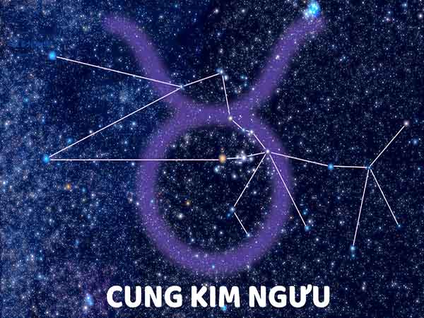 Chi tiết tử vi cung Kim Ngưu ngày 8/1/2025 thứ 4 hôm nay