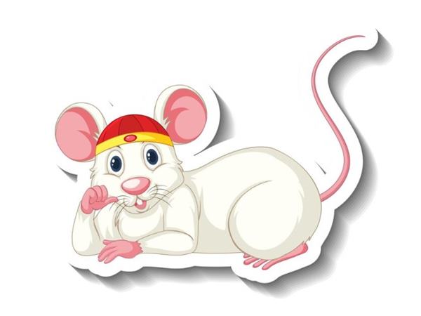 Giải mã con số tài lộc tuổi Tý ngày 7/5/2025 thứ 4 hôm nay