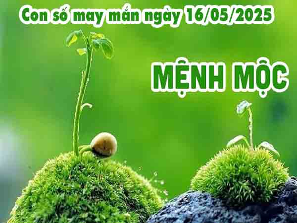 Con số phát tài người mệnh Mộc ngày 16/5/2025 thứ 6 hôm nay