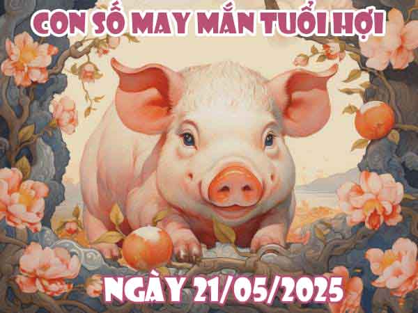 Con số may mắn tuổi Hợi ngày 21/5/2025 thứ 4 hôm nay