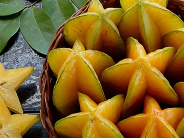 Giải mã những bí ẩn khi nằm mơ thấy quả khế