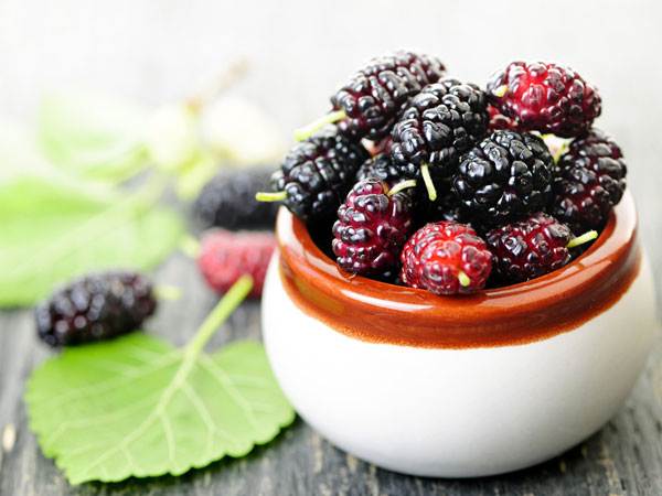 Điềm lạ: Mơ thấy quả dâu tằm có ảnh hưởng gì không?