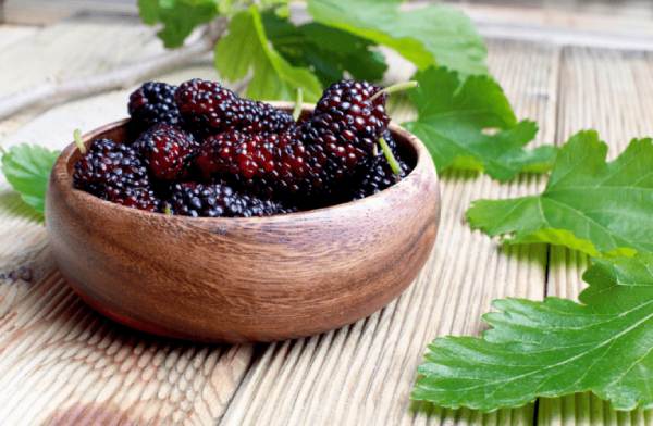 Chiêm bao thấy người khác cho mình quả dâu tằm