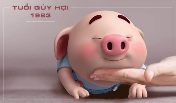Gợi ý con số may mắn của tuổi Quý Hợi hôm nay tài lộc