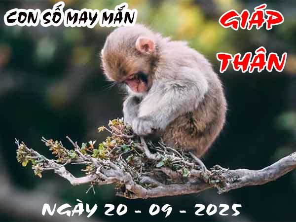 Con số may mắn tuổi Giáp Thân ngày 20/9/2025 thứ 7 hôm nay
