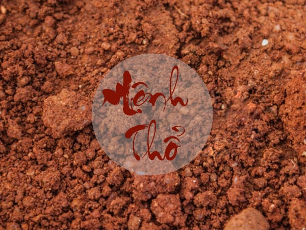 Tử vi mệnh Thổ ngày 27/9/2025 gợi ý con số vượng tài