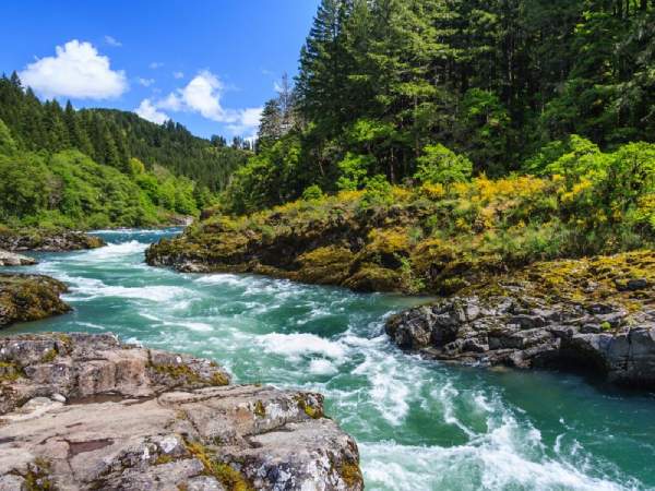 Nằm mơ thấy nước chảy xiết là điềm gì, nên chú ý điều gì?