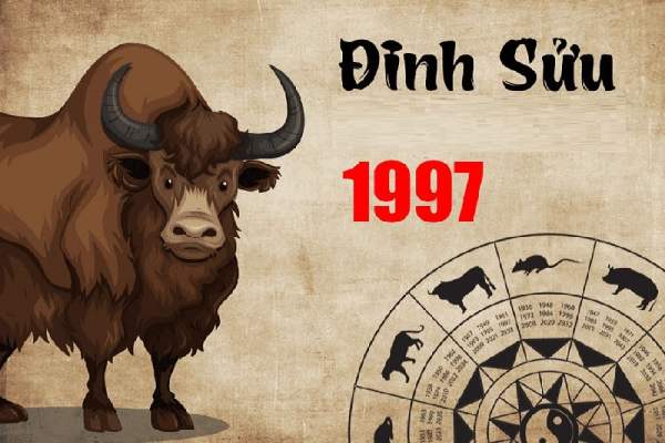 Bật mí số phát tài tuổi Đinh Sửu 20/11/2025 siêu chuẩn xác