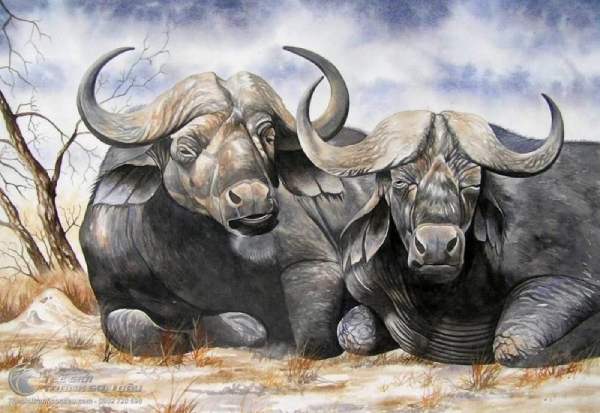 Bật mí số phát tài tuổi Đinh Sửu 20/11/2025 siêu chuẩn xác