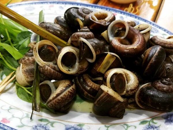 Nằm mơ thấy bắt ốc có ý nghĩa gì có số gì lộc phát Nằm mơ thấy bắt ốc có ý nghĩa gì có số gì lộc phát