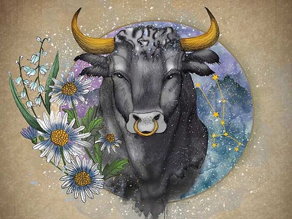 Con số may mắn ngày 24 tháng 1 năm 2026 thứ 7 của 12 cung